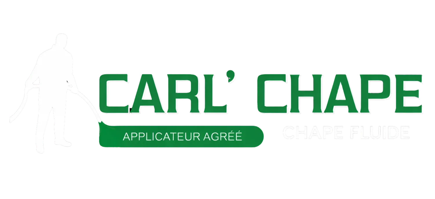 <h1>Chape de ravoirage</h1>